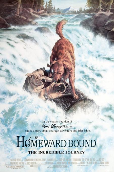 Homeward Bound 1: The Incredible Journey